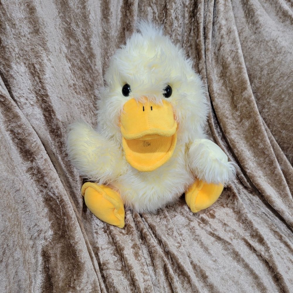 Duck toy